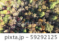 Aerial 4K video flight over Georgia mountains during the fall 59292125
