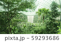 Full of green indoors at Singapore Changi Airport Full of green indoors at Singapore Changi Airport 59293686