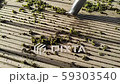 Outdoor process of getting rid of algae plants with brush and hoover. 59303540