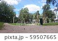 A forest in Finland A forest in Finland 59507665