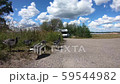 Ducks walking in the nature of Finland Ducks walking in the nature of Finland 59544982