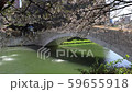 櫻花橋 59655918