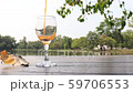 orange juice soda pouring in wine glass in lake garden background 59706553