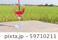 beverage pouring into wine glass on rice field background in holiday 59710211