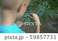 Young botanist looking through magnifying glass at 59857731