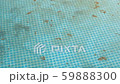 Dirty water in swimming pool. Mote, trash and insects on surface of the blue water 59888300