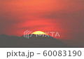 Rising Sun Close Up  60083190