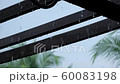 Heavy rain on wooden pergola in the backyard during monsoon season 60083198