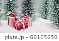 Christmas presents in forest 60105650