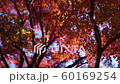 高尾山紅葉 60169254