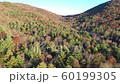 4K Aerial Fall Landscape at Georgia Mountains during the fall 60199305