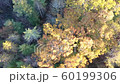 4K Aerial Fall Landscape at Georgia Mountains during the fall 60199306