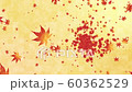 秋 紅葉 60362529