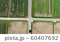 遅くともわが道を行く 60407692