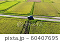 黄金の野を走る車 60407695