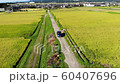 黄金の野で旋回 60407696