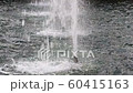 Panning Shot of Water fountain 60415163