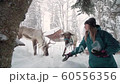 Ski resort entertainments. Yound woman and deer in the winter forest. Woman feed deer. Girl feed deer. Deer farm. 60556356