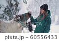 Ski resort entertainments. Yound woman and deer in the winter forest. Woman feed deer. Girl feed deer. Deer farm. 60556433