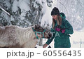 Ski resort entertainments. Yound woman and deer in the winter forest. Woman feed deer. Girl feed deer. Deer farm. 60556435