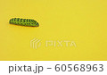 Green caterpillar swallowtail crawls on yellow paper background 60568963