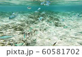 A group of debasuzume die 60581702