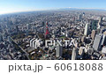 Aerial view of Tokyo Tower and Mt. Fuji 60618088