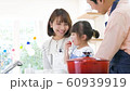 Family: Kitchen 60939919