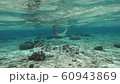 Madara Tsuboei 60943869