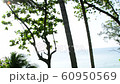 南国リゾート風景 60950569