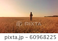 Young woman on wheat field at sunset 60968225