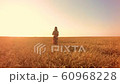 Young woman on wheat field at sunset 60968228