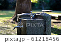 Park drinking fountain 61218456