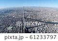 Aerial view of Tokyo cityscape, Sky Tree and Sumida River 61233797