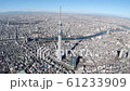 Aerial view of Tokyo cityscape, Sky Tree and Sumida River 61233909