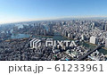 Aerial view of Tokyo Waterfront 61233961