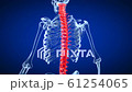 3d rendered medically accurate animation of a painful back. 4k 3840x2160 Ultra HD 61254065