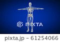 3d rendered medically accurate loopable animation of the human skeleton. 4k 3840x2160 Ultra HD 61254066