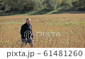 man walking through wheat fied front view 61481260