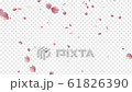 Sakura petals with alpha channel 61826390