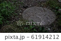 Raindrops and paving stones 61914212