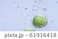 Appetizing brussels sprouts 61916418