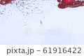 Fresh paprika 61916422