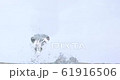 Bubble 61916506