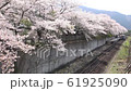 桜咲く会津鉄道の駅 61925090
