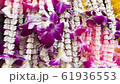 黎明寺，泰國，曼谷，泰國bankok Watarun 61936553