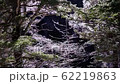 [長野縣]冬天的上高地 62219863