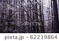 [長野縣]冬天的上高地 62219864