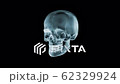 Skull X-Ray. Very detailed 3d animation of an x-rayed skull spinning 360º. Seamless loop. 4K 62329924