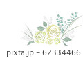 Rose 62334466